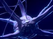 Tips SEO: 2018 Edition