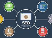 Work Together Deliver Results