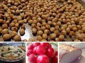 Christians Vegetarians/vegans?