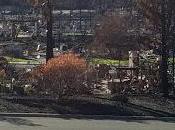 Disaster Relief Prepared?