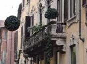 Guarda Cosa Trova Nelle Vetrine Milano! Look What Find Windows Shops Milan