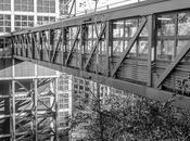 Boundaries, When Humans Make Claims Land