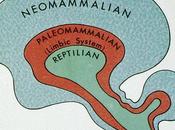 Vehicularization Ring-Form: Remarks Some Issues Raised #HEX01