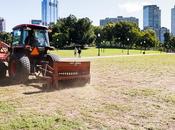 Friends Work: Caring Soil Grass Beneath Your Feet November 2017