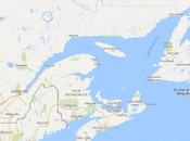 Left Behind Labrador