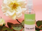 Always Sunday Minty Matcha Clarifying Face Mist Review