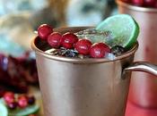 Cranberry Pomegranate Moscow Mule Cocktail