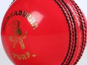 Hosts Declaring Adelaide Feroz Shah Kotla Different Stories