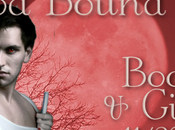 Blood Bound Series J.L. Meyers