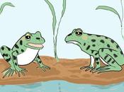 Cartoon Guide Biodiversity Loss