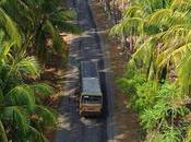 Working Overtime Japanese Idea Blasting with Drone