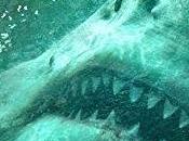 2018 Anticipated Film