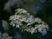 ARTmonday: Fracture Holiday Print Sale