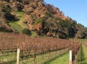 Napa Sonoma: Still Beautiful