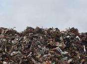 Effects Littering Humans, Animals Environment