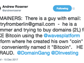 Alert: Domainers Wary “Bitcoin” Scammers
