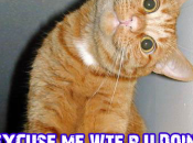 Here’s Ruin Holidays People