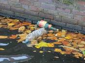 Soft Drink Execs: Plastic Pollution Priority Shoppers