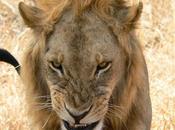 Best Entrepreneurs Enjoy Hunter Lifestyle