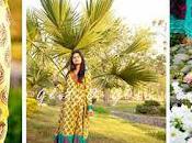 Designer Summer Lawn Collection 2012 Glitz Glam Alina’s