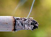 Smoking with Your Children Present Ever