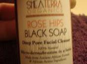 Review: Shea Terra Organics Black Soap