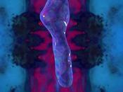 Alex Turvey 'Hollow Earth' Outlet‏