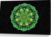 Flower Mandala Cards