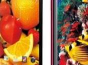 Huawei Ascend Released China, Soon Globalized