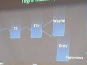 Confirm Presence NVIDIA Tegra Grey With