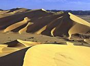 Beautiful Unusual Desert Images