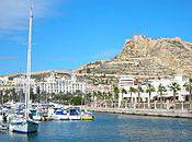 Rightful Decision Choosing Learn Spanish Alicante