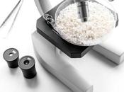 Genetic Study: Obesity Caused High Insulin