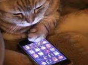 Idiocracy: Death Expertise