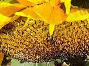 Bible Reading Plan Thoughts: Tender God?