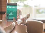 Insurance Policies That Should Before Turn