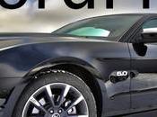 Speed WordPress Performance