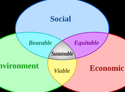 Strategies Capture Sustainability Opportunities