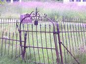 Bible Reading Plan Thoughts: Setting Minds