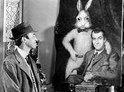 Spotlight Jimmy Stewart