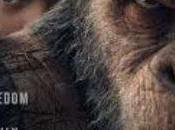 Film Challenge What Enjoyed 2017