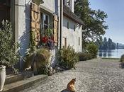 Window Door Trends 2018