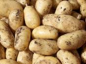 Growing Potatoes Containers