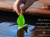 Waiting That Brick? #WednesdayWisdom