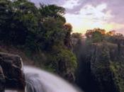 Your Spotlight Focused Victoria Falls