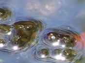 Bible Reading Plan Thoughts: Abraham's Omission