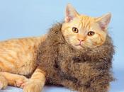 Winter Tips from #LondonWalks Guides No.6. Layers!