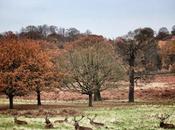 Nightly #London #Photoblog 06:02:18: #Richmond