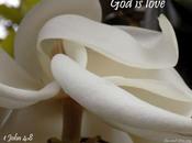 Love Week Essay What Apostle John Mean When Wrote 'God Love'?