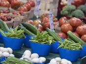 Op-ed: Canada Food Guide Needs Change Accordance with Science